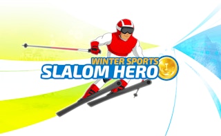 Slalom Hero