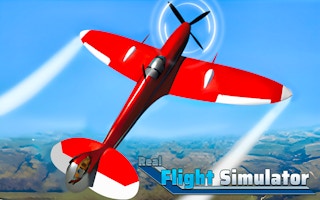 Real Flight Simulator